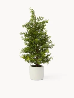 coincasa Altre Decorazioni Natalizie|Alberi Di Natale|Alberello con pigne e vaso Verde