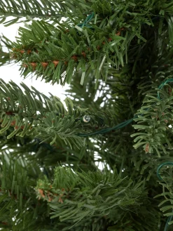 coincasa Alberi Di Natale|Albero di Natale 30 LED H 60 cm Verde