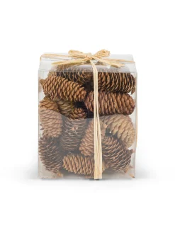 coincasa Altre Decorazioni Natalizie|Altre Decorazioni|Box con pigne Marrone