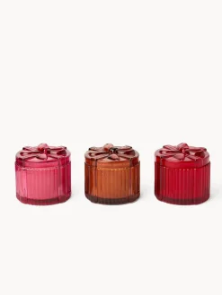 coincasa Candele E Diffusori|Candele Natalizie|Candela con coperchio Multicolor