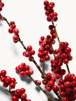 coincasa Altre Decorazioni Natalizie|Ramo agrifoglio Rosso